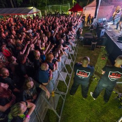 FERBY FEST 