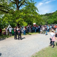 OŽIVLÝ HRAD BOSKOVICE 