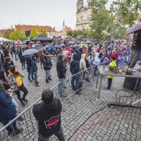 VALTICKÉ VINOBRANÍ 