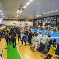 TEAKWONDO, PELHŘIMOV - MEZINÁRODNÍ VÁNOČNÍ TURNAJ