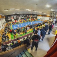 TEAKWONDO, PELHŘIMOV - MEZINÁRODNÍ VÁNOČNÍ TURNAJ