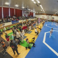 TEAKWONDO, PELHŘIMOV - MEZINÁRODNÍ VÁNOČNÍ TURNAJ