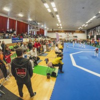 TEAKWONDO, PELHŘIMOV - MEZINÁRODNÍ VÁNOČNÍ TURNAJ