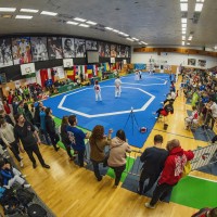 TEAKWONDO, PELHŘIMOV - MEZINÁRODNÍ VÁNOČNÍ TURNAJ