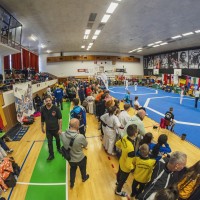 TEAKWONDO, PELHŘIMOV - MEZINÁRODNÍ VÁNOČNÍ TURNAJ