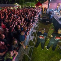 FERBY FEST 