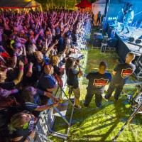 FERBY FEST 