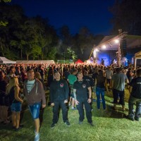 FERBY FEST 
